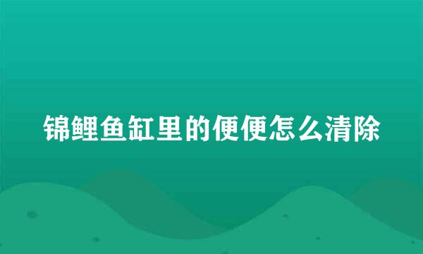 锦鲤鱼缸里的便便怎么清除