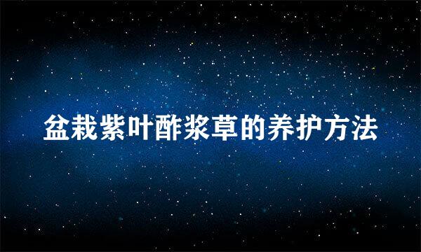 盆栽紫叶酢浆草的养护方法