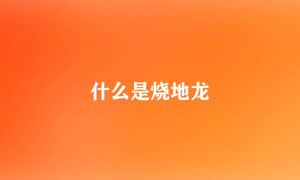 什么是烧地龙