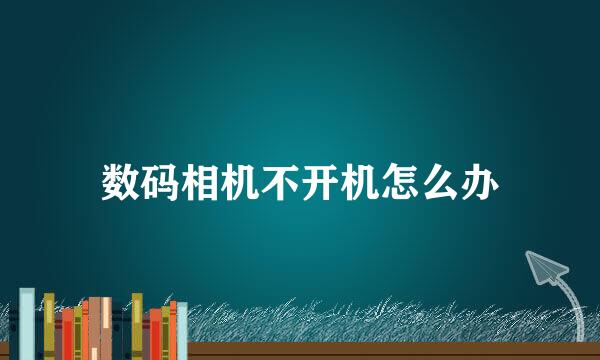 数码相机不开机怎么办