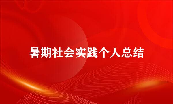 暑期社会实践个人总结