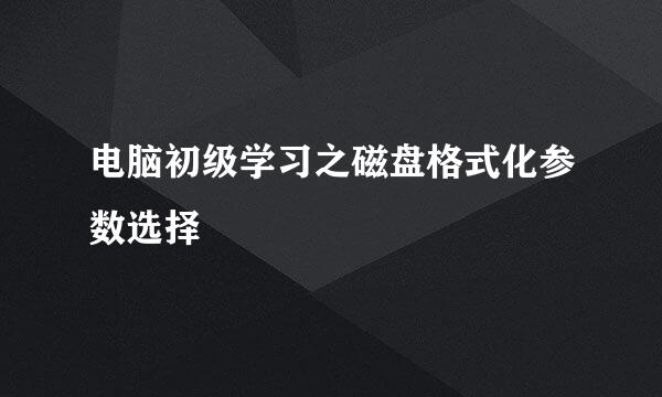 电脑初级学习之磁盘格式化参数选择