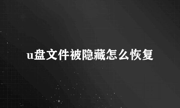 u盘文件被隐藏怎么恢复