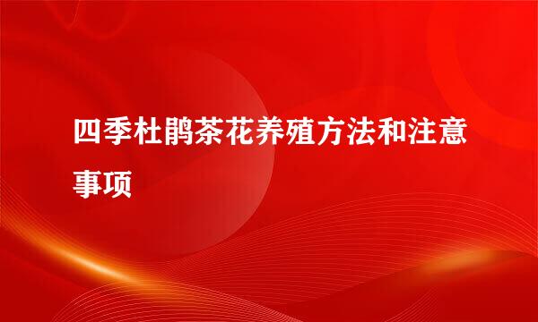 四季杜鹃茶花养殖方法和注意事项