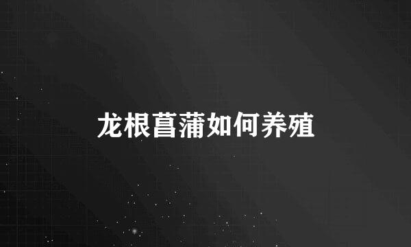 龙根菖蒲如何养殖