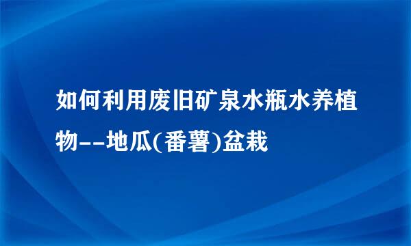 如何利用废旧矿泉水瓶水养植物--地瓜(番薯)盆栽
