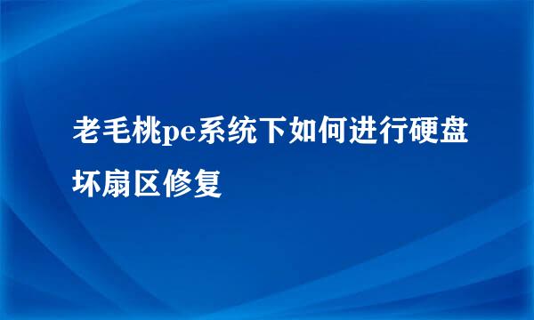 老毛桃pe系统下如何进行硬盘坏扇区修复