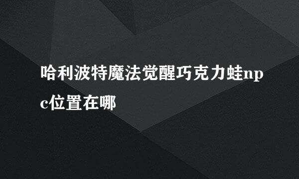 哈利波特魔法觉醒巧克力蛙npc位置在哪