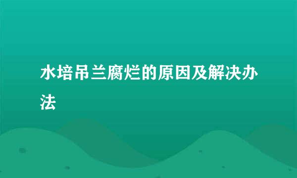 水培吊兰腐烂的原因及解决办法