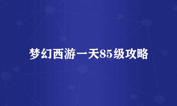 梦幻西游一天85级攻略
