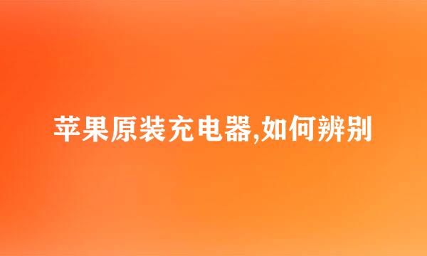 苹果原装充电器,如何辨别