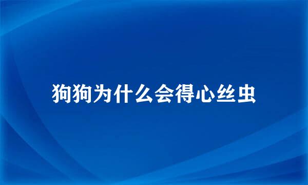 狗狗为什么会得心丝虫