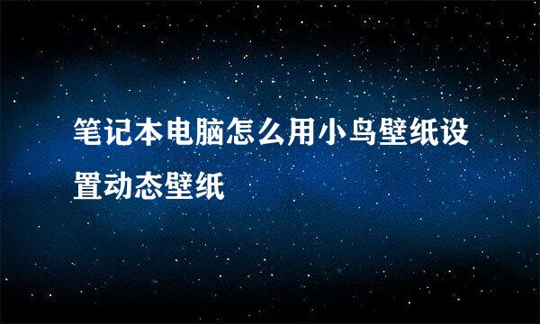 笔记本电脑怎么用小鸟壁纸设置动态壁纸