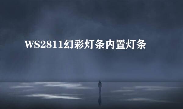 WS2811幻彩灯条内置灯条