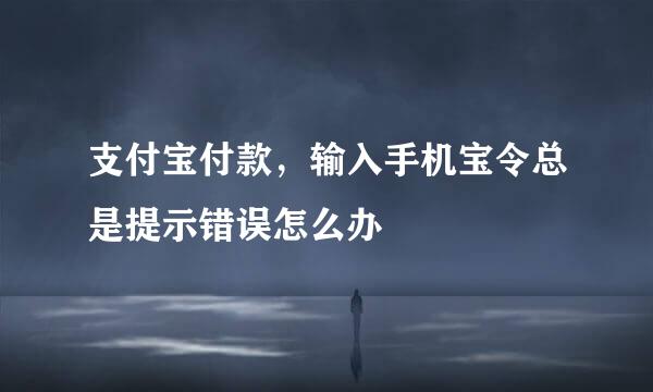支付宝付款，输入手机宝令总是提示错误怎么办