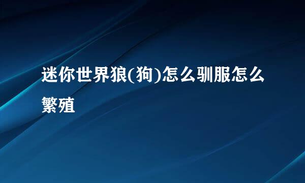 迷你世界狼(狗)怎么驯服怎么繁殖