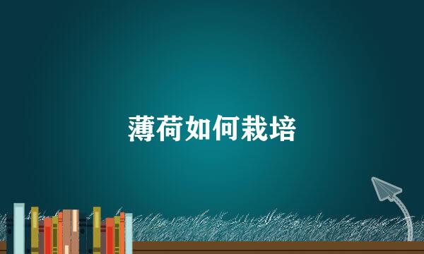 薄荷如何栽培