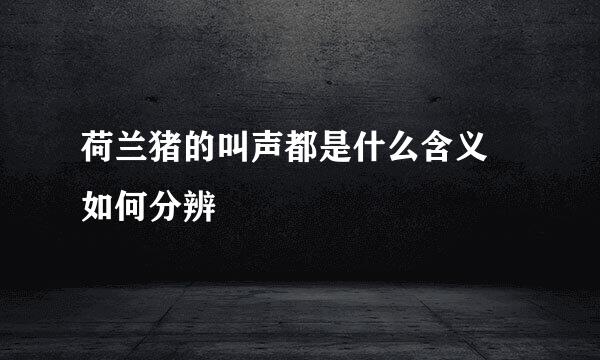 荷兰猪的叫声都是什么含义 如何分辨