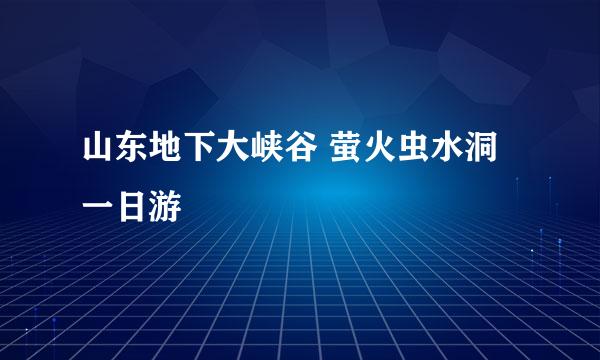 山东地下大峡谷 萤火虫水洞一日游