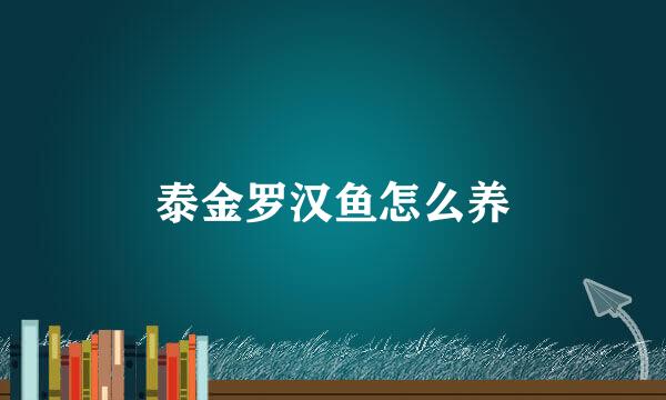 泰金罗汉鱼怎么养