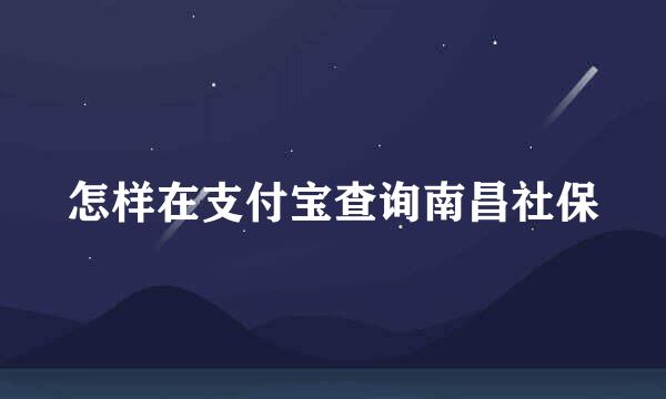 怎样在支付宝查询南昌社保
