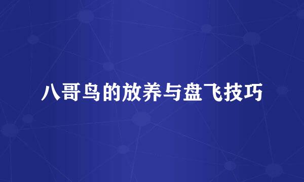 八哥鸟的放养与盘飞技巧
