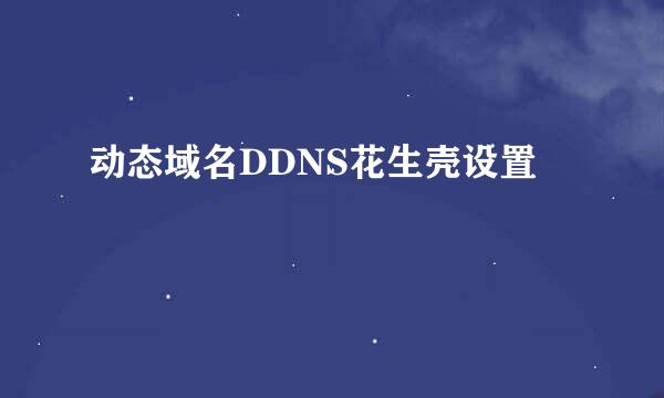 动态域名DDNS花生壳设置
