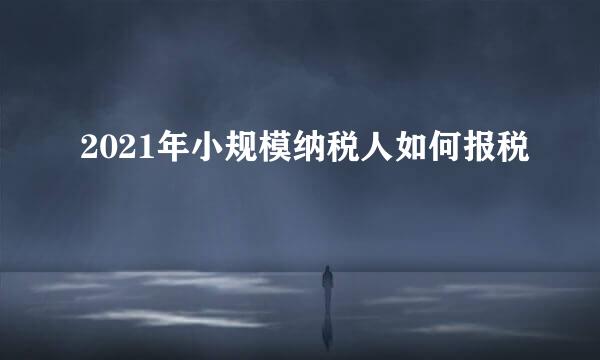 2021年小规模纳税人如何报税