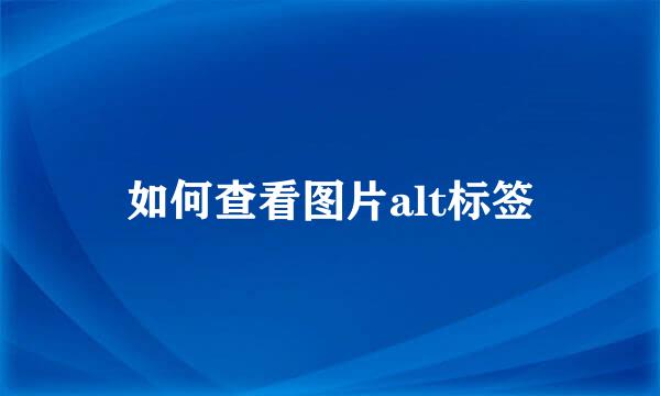 如何查看图片alt标签