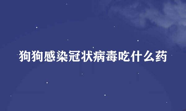 狗狗感染冠状病毒吃什么药