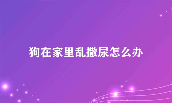 狗在家里乱撒尿怎么办