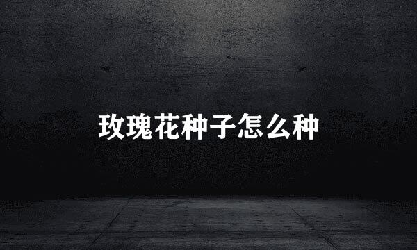 玫瑰花种子怎么种