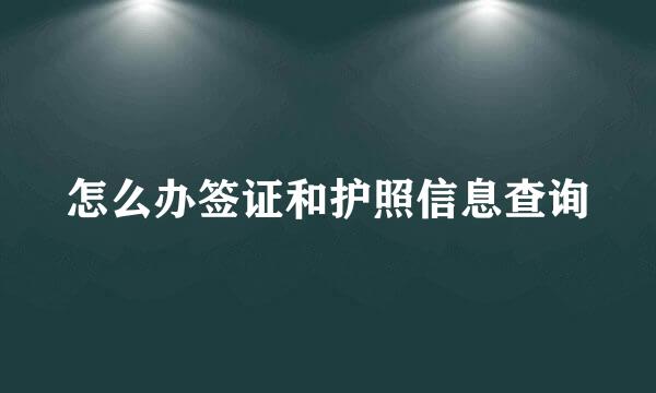 怎么办签证和护照信息查询