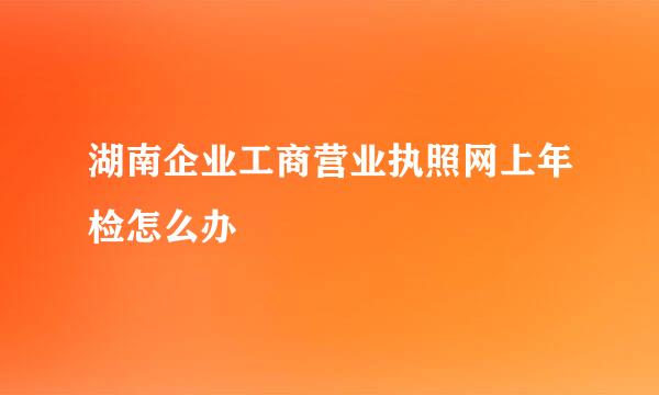 湖南企业工商营业执照网上年检怎么办