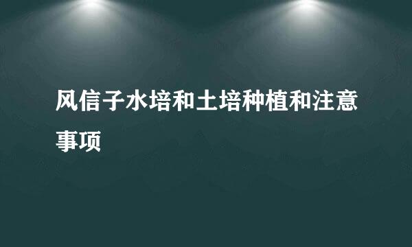 风信子水培和土培种植和注意事项