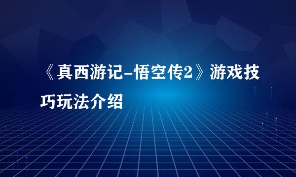 《真西游记-悟空传2》游戏技巧玩法介绍