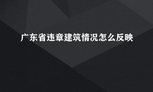 广东省违章建筑情况怎么反映