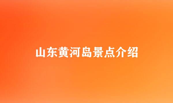 山东黄河岛景点介绍
