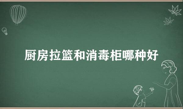 厨房拉篮和消毒柜哪种好