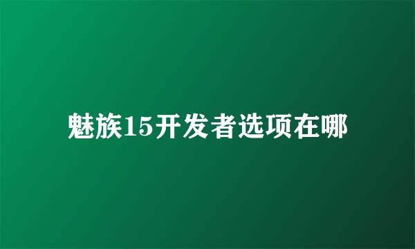 魅族15开发者选项在哪