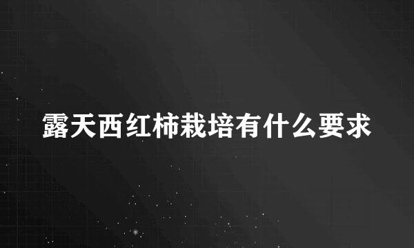 露天西红柿栽培有什么要求
