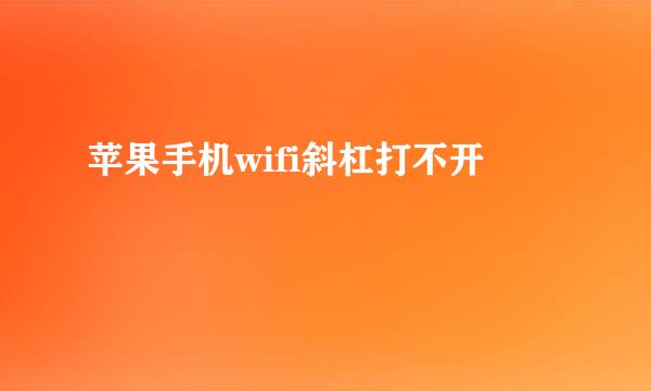苹果手机wifi斜杠打不开