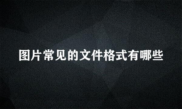 图片常见的文件格式有哪些