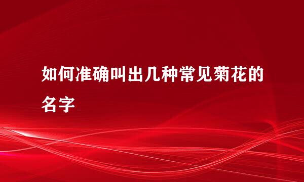 如何准确叫出几种常见菊花的名字