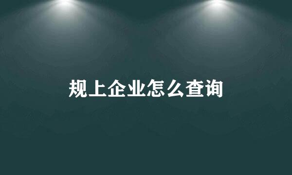 规上企业怎么查询