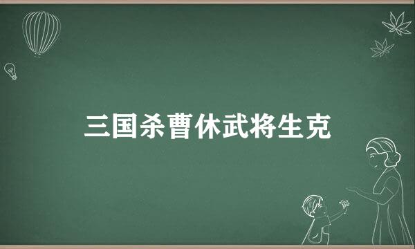 三国杀曹休武将生克