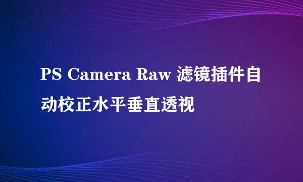 PS Camera Raw 滤镜插件自动校正水平垂直透视