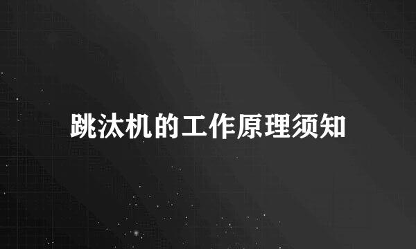 跳汰机的工作原理须知