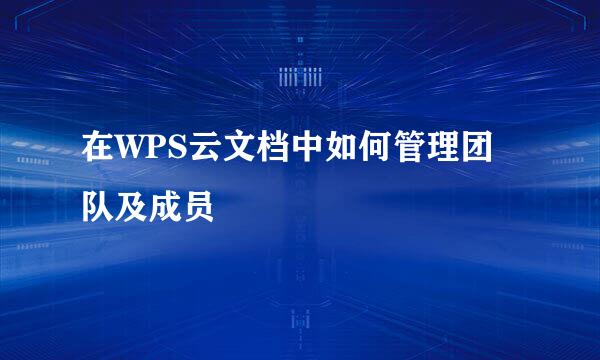 在WPS云文档中如何管理团队及成员