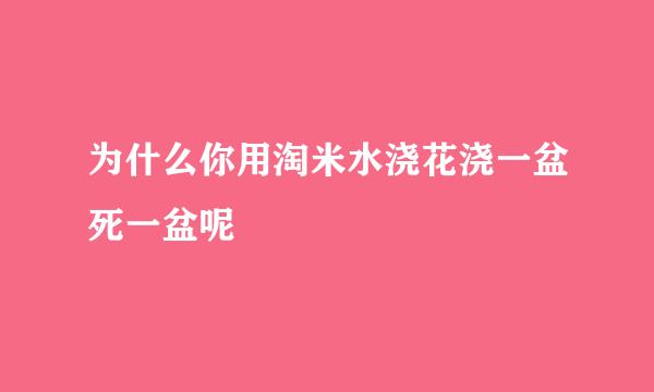 为什么你用淘米水浇花浇一盆死一盆呢